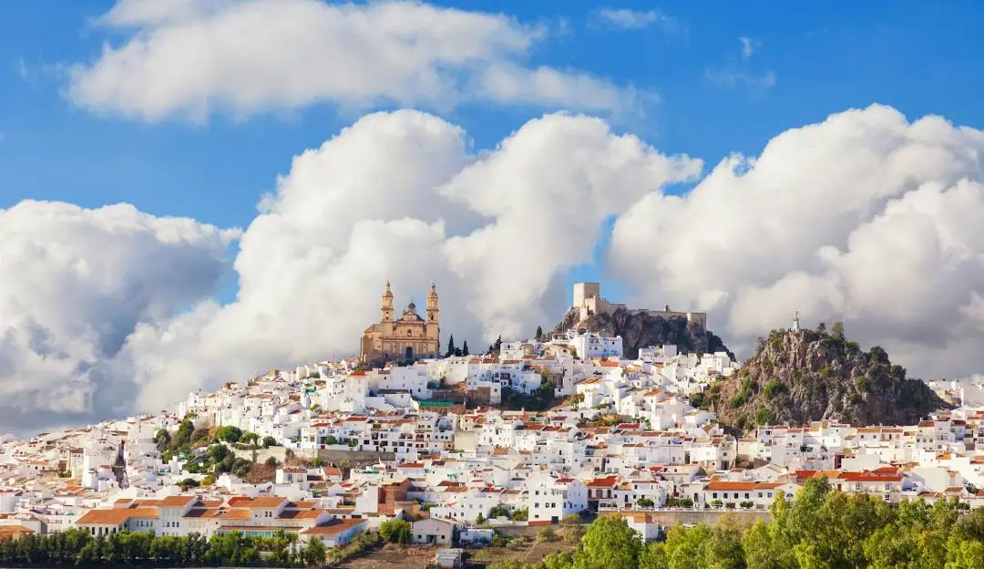 olvera